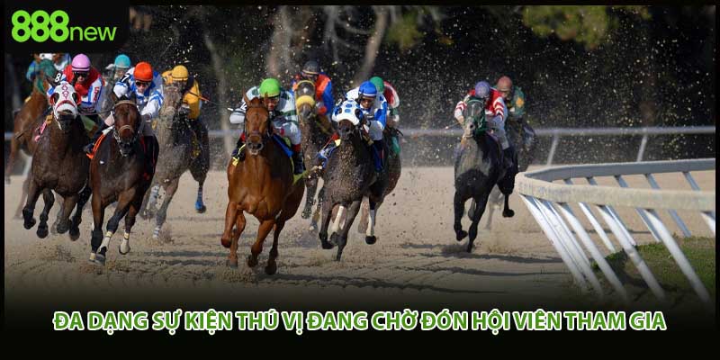 Đa dạng sự kiện thú vị đang chờ đón hội viên tham gia