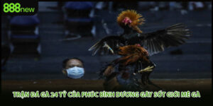 Trận Đá Gà 24 Tỷ Của Phúc Bình Dương Gây Sốt Giới Mê Gà